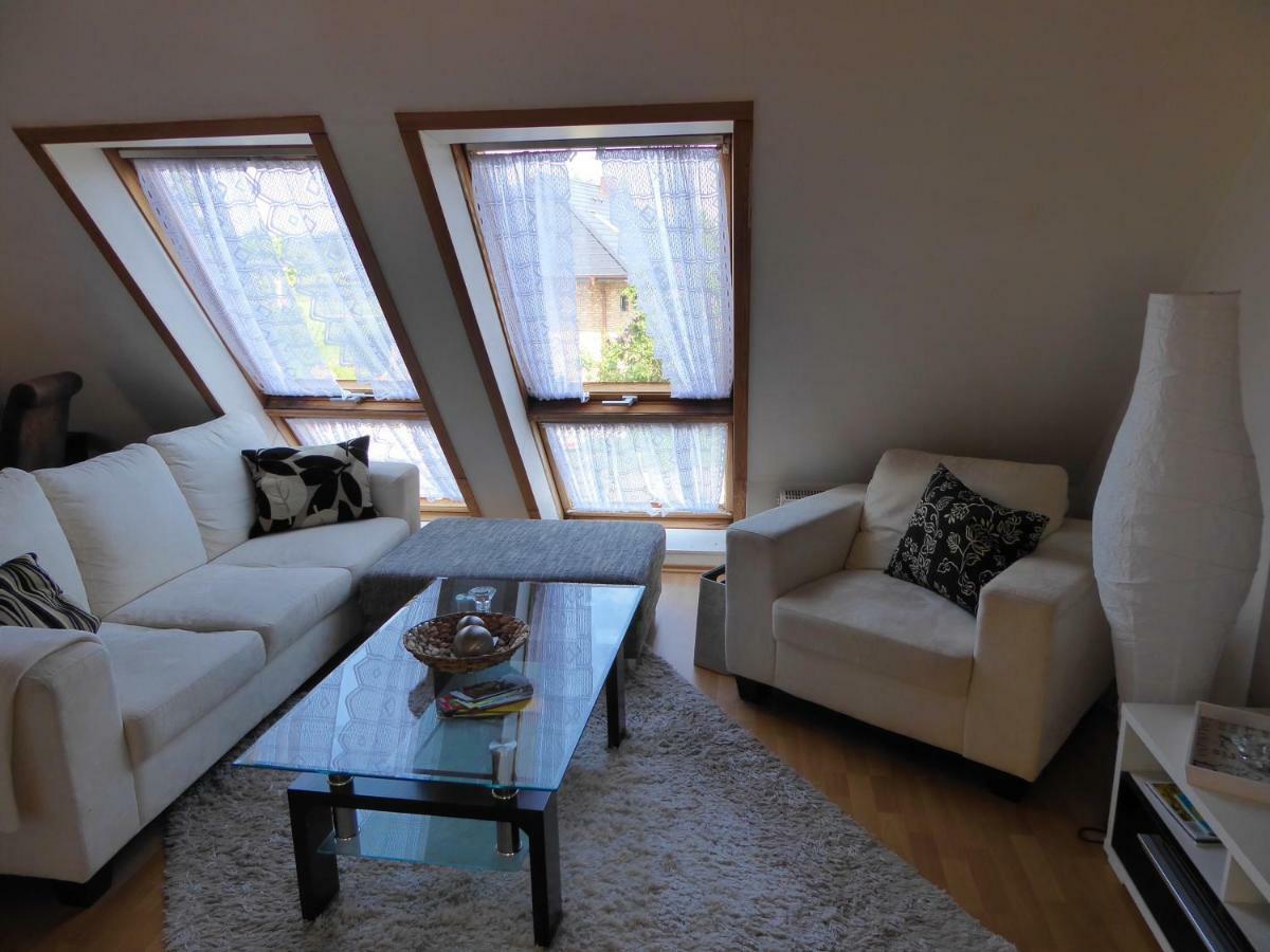 Ostseeferienwohnung Storchennest ダッソー  エクステリア 写真